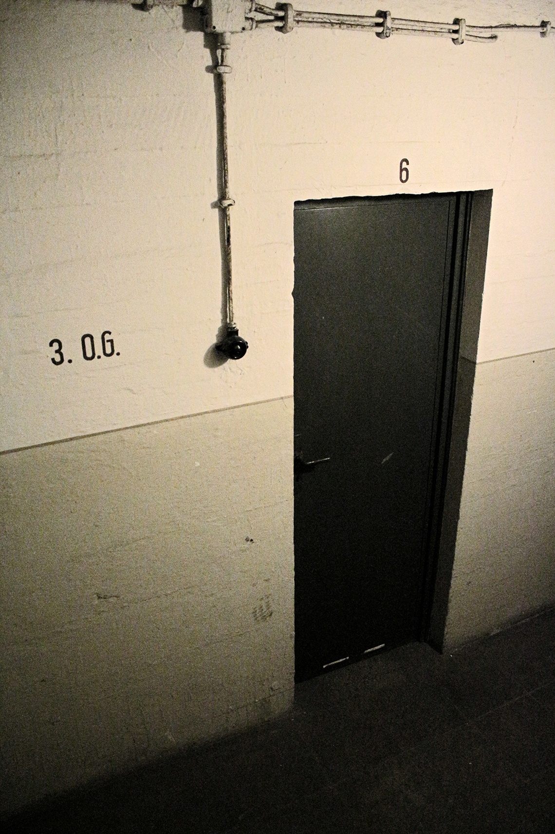 IMG_9941_1.jpg